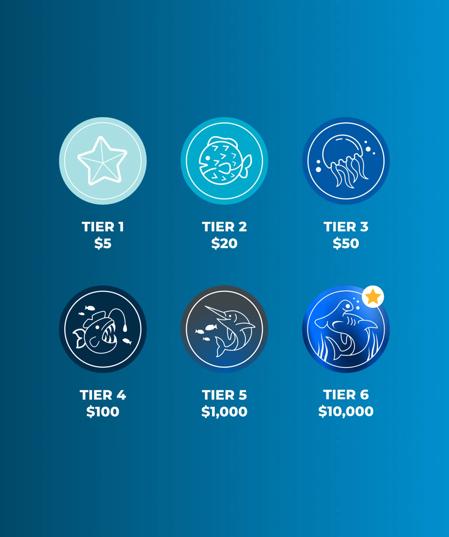 TeamSeas — gallery image 7